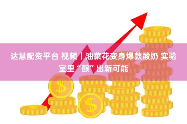 达慧配资平台 视频丨油菜花变身爆款酸奶 实验室里“酿”出新可能