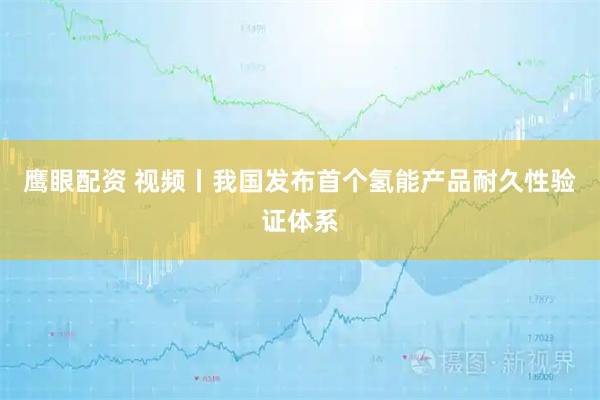 鹰眼配资 视频丨我国发布首个氢能产品耐久性验证体系
