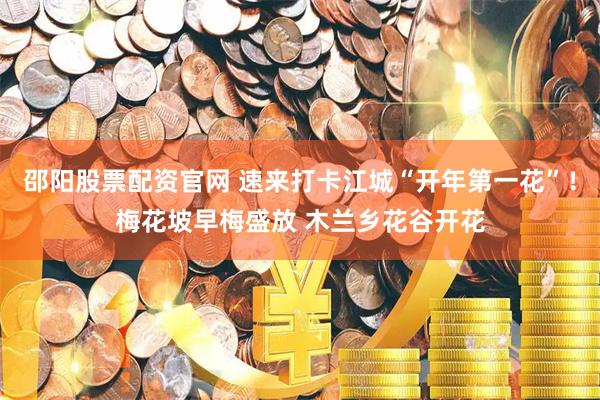 邵阳股票配资官网 速来打卡江城“开年第一花”！梅花坡早梅盛放 木兰乡花谷开花
