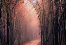 股票开户第二天几点能买入:股票杠杆推荐-A股集体沸腾！外围三重利好！美联储降息预期强烈